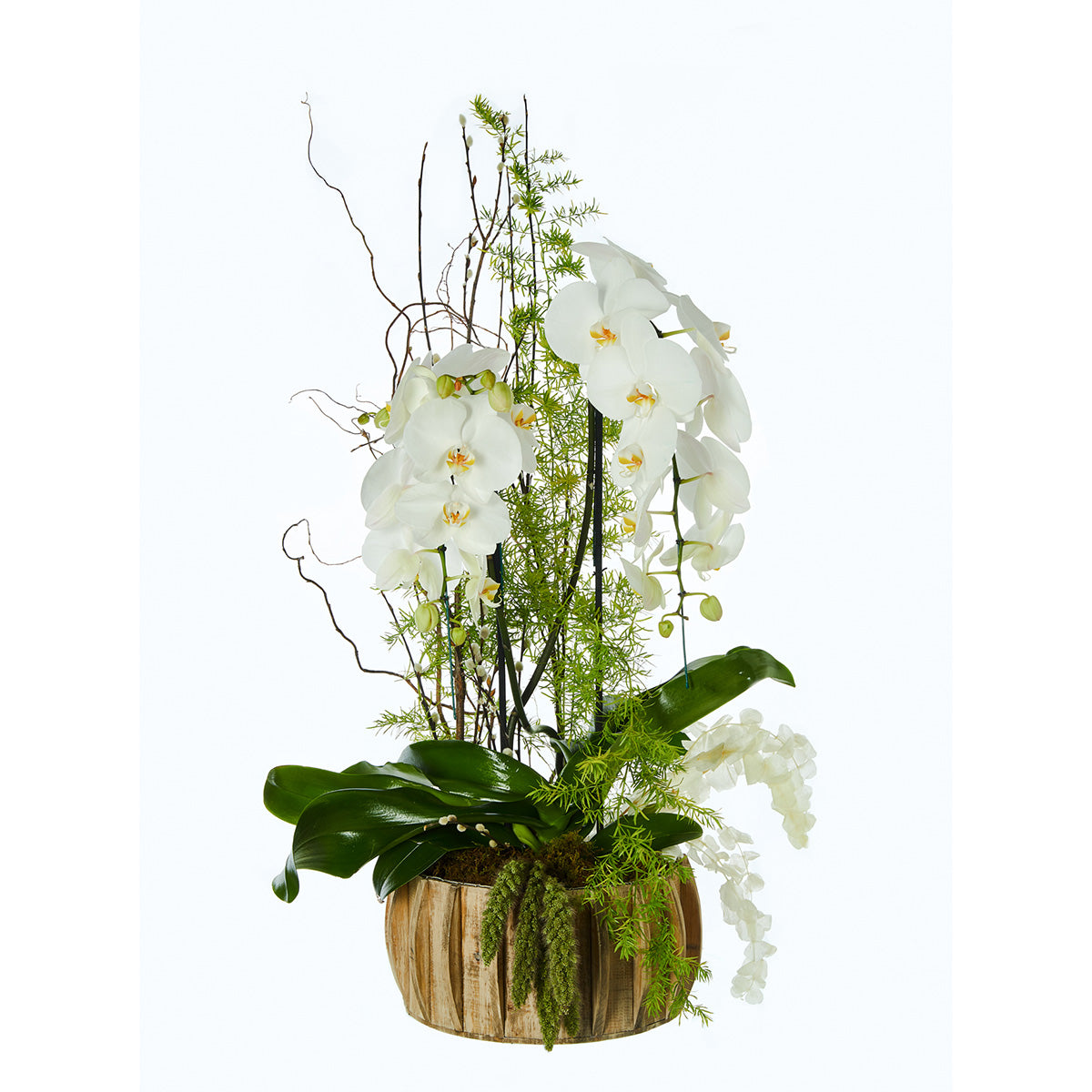 Orquidea Blanca, Doble Cascada