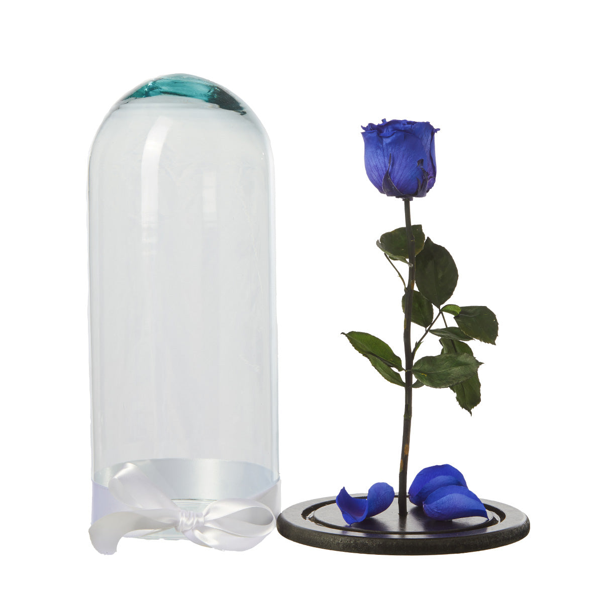 Rosa Eterna Azul