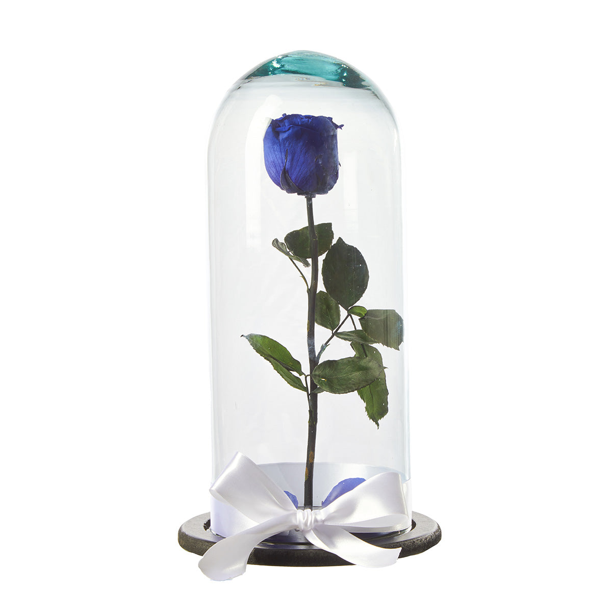 Rosa Eterna Azul