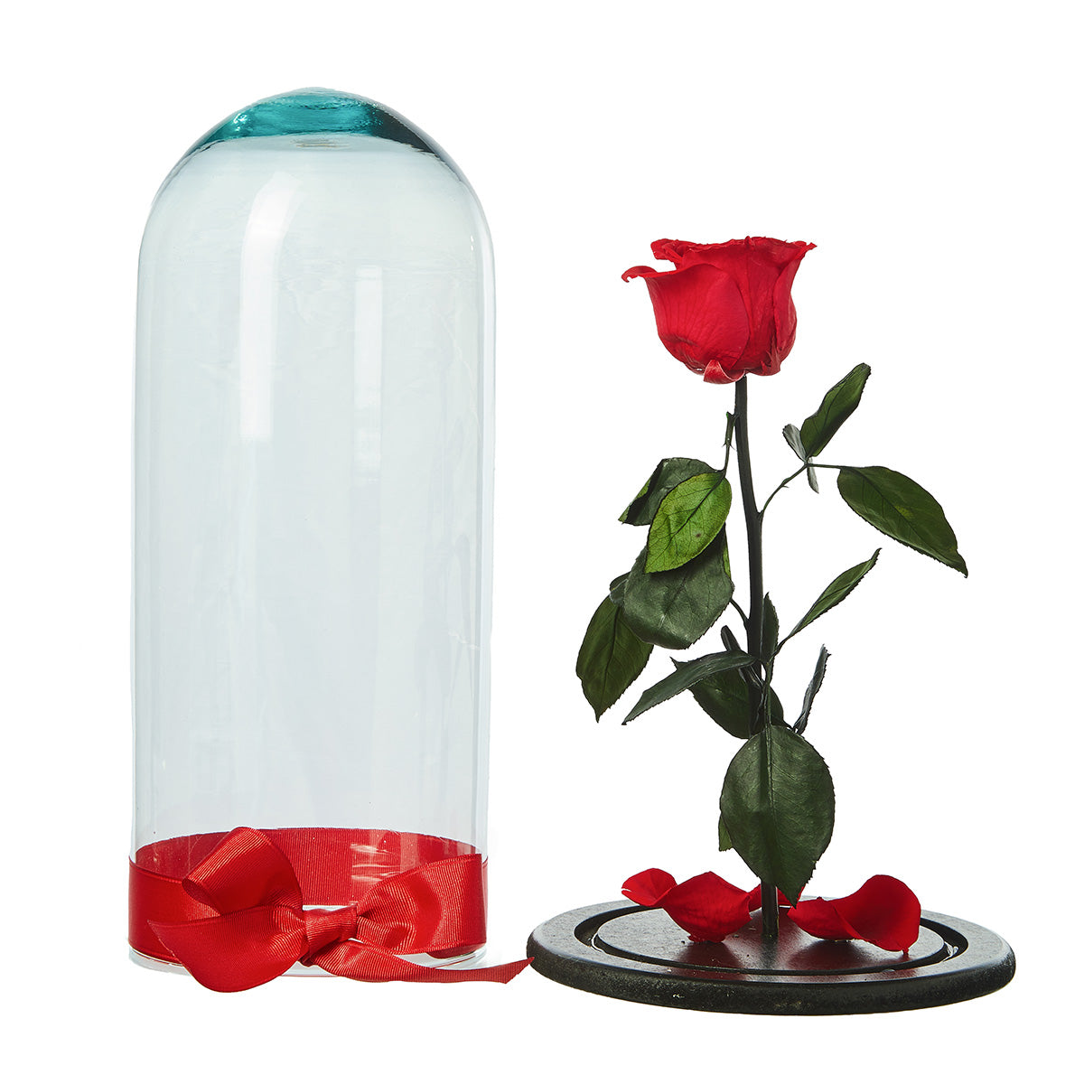 Rosa Eterna Roja