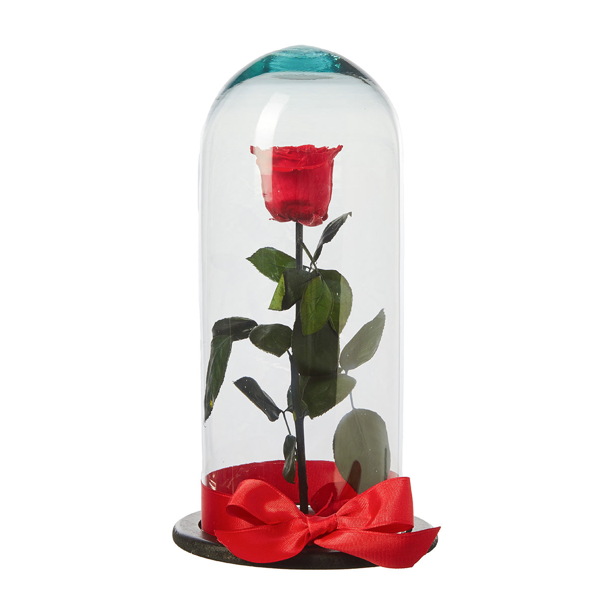 Rosa Eterna Roja