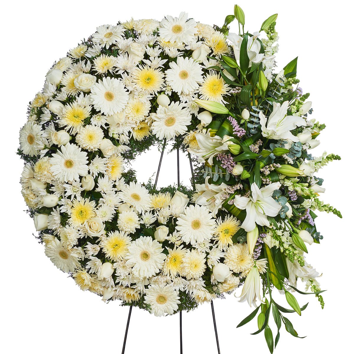 Paz Blanca