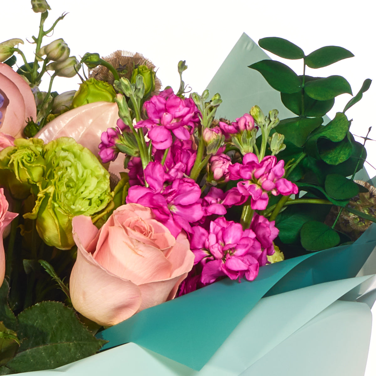 Colección Premium; Flores Sin Flores Ordinarias