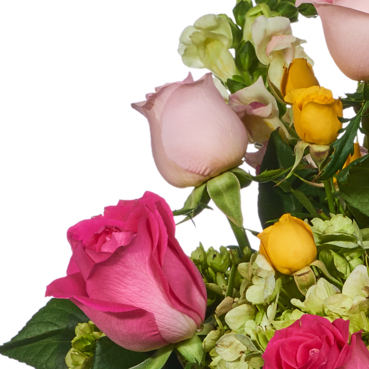 Alegre Y Cálido, Con Tonos De Mini Rosa