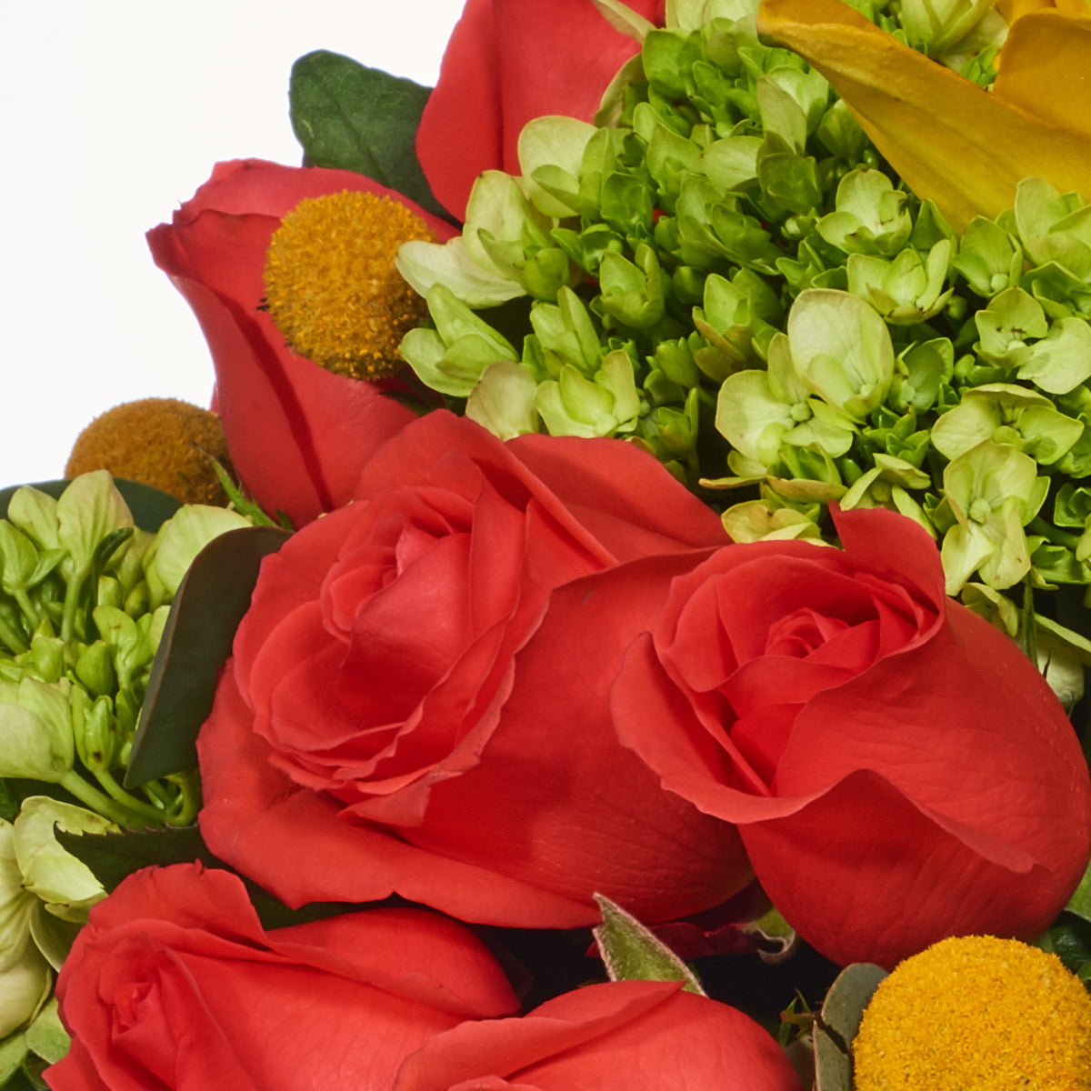 Diseño Alegre De Rosas Y Lirios