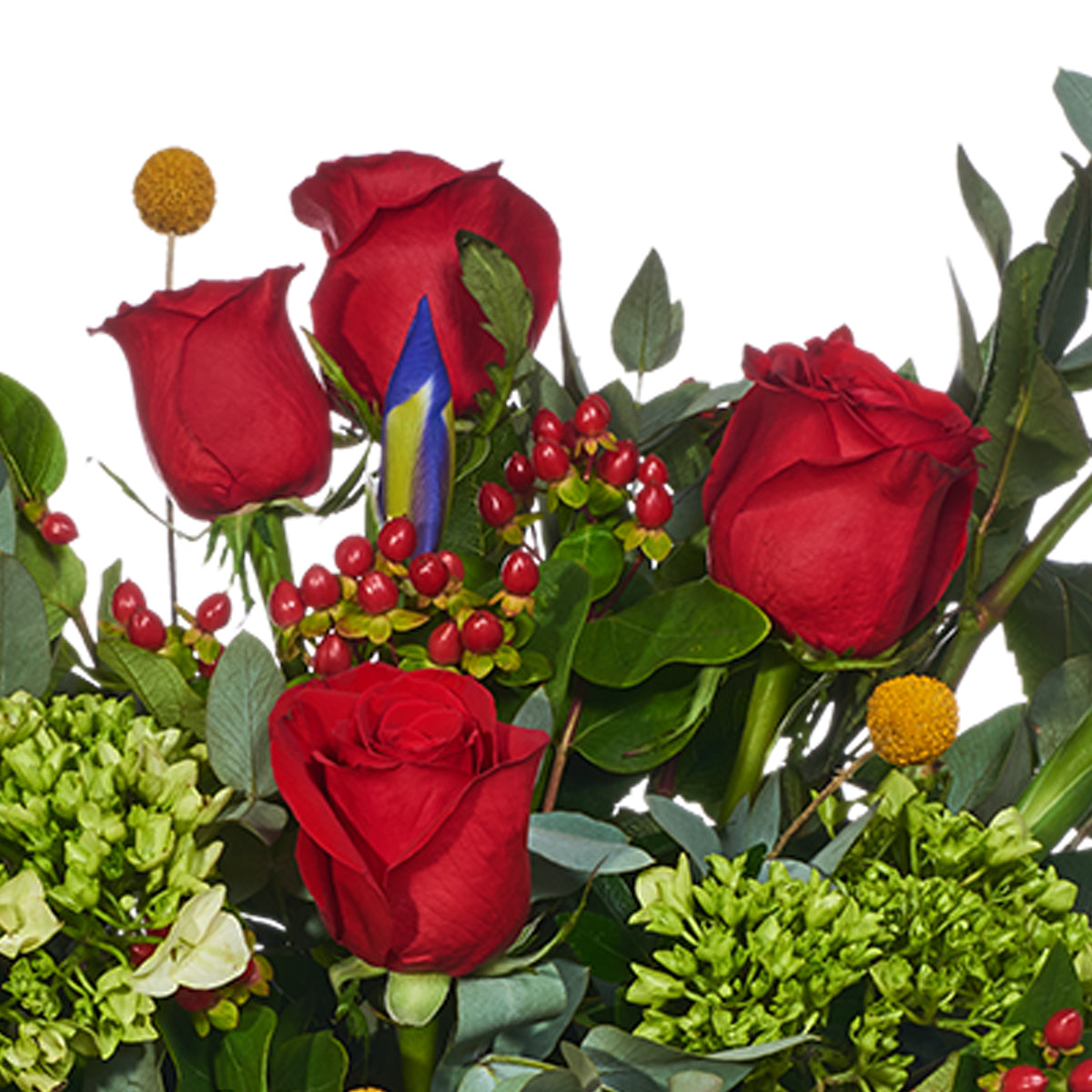 Delicado Arreglo Floral, Rosas Rojas E Impericum