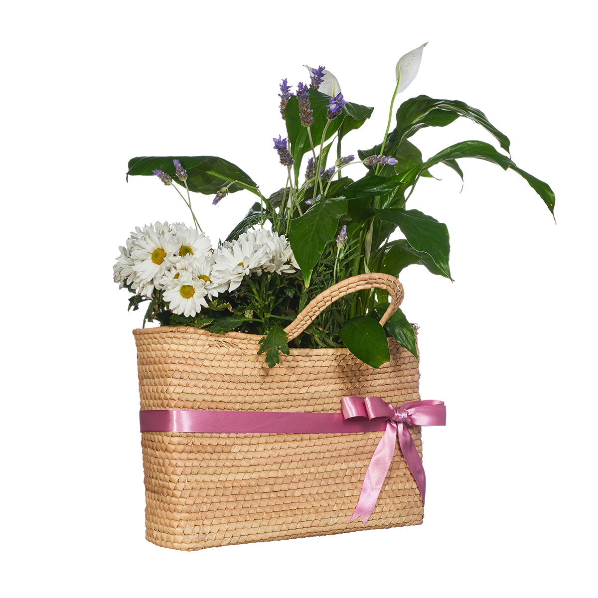 Plantas Con Hermoso Significado