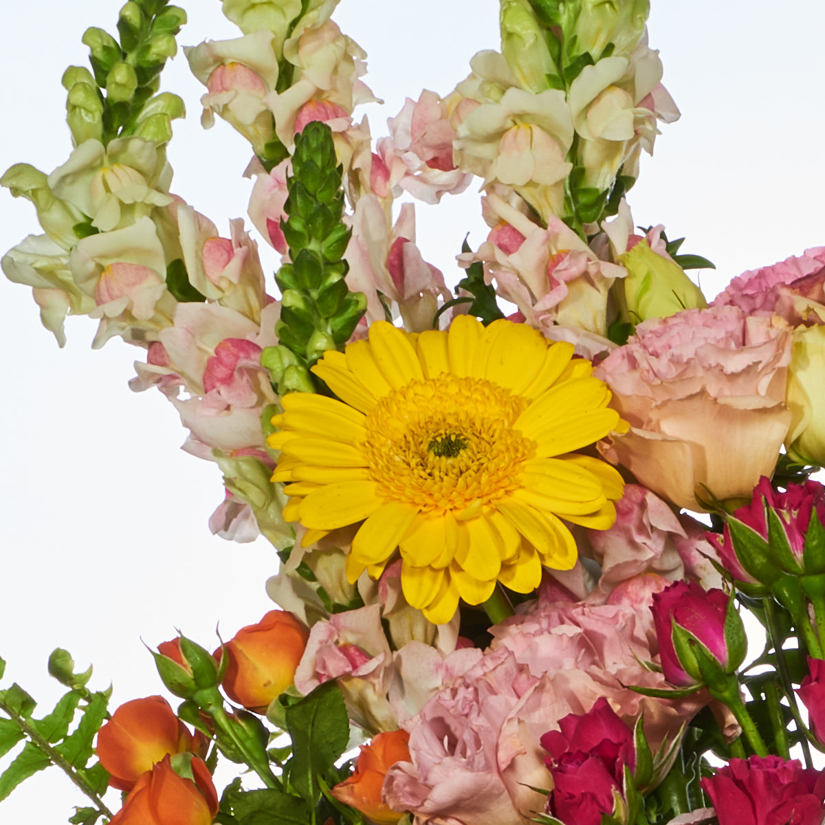 Belleza De Flores En Mimbre
