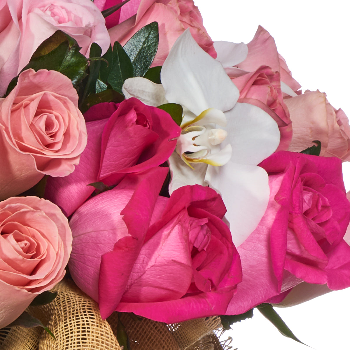 Rosas Cálidas Y Orquídeas