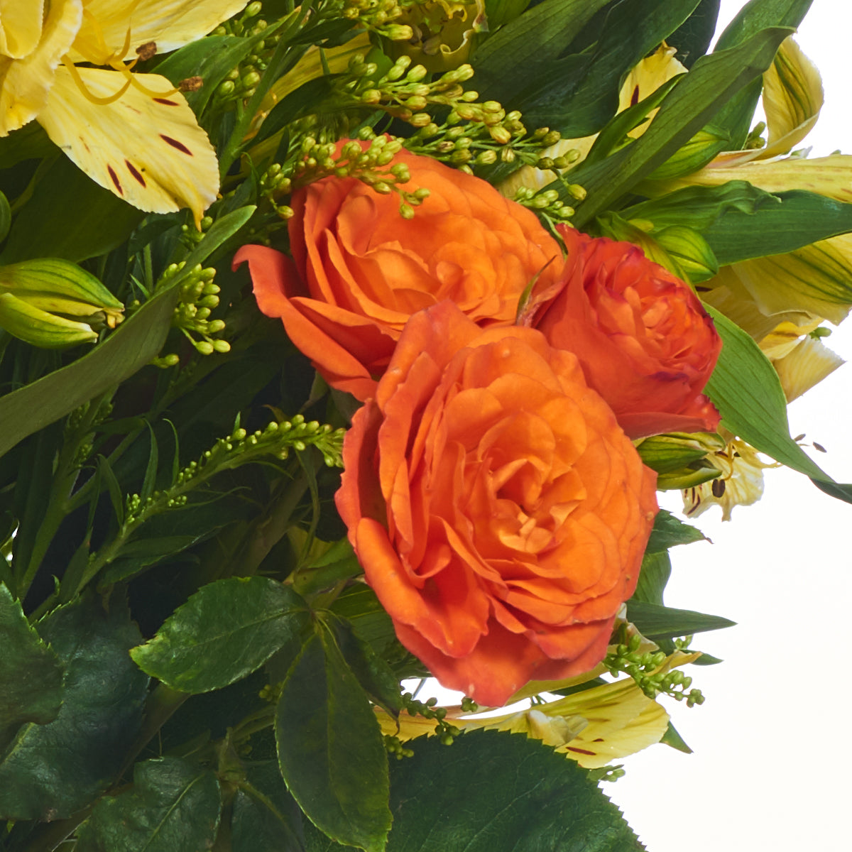 Astromelias Y Mini Rosas