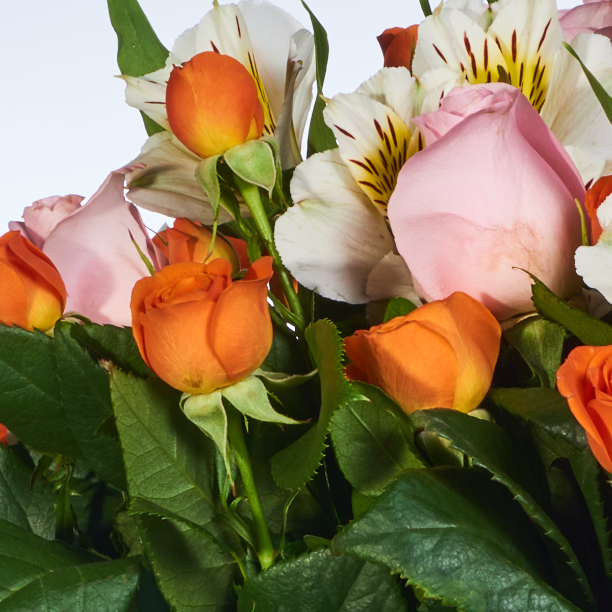 Ramo De Rosas Y Mini Rosas