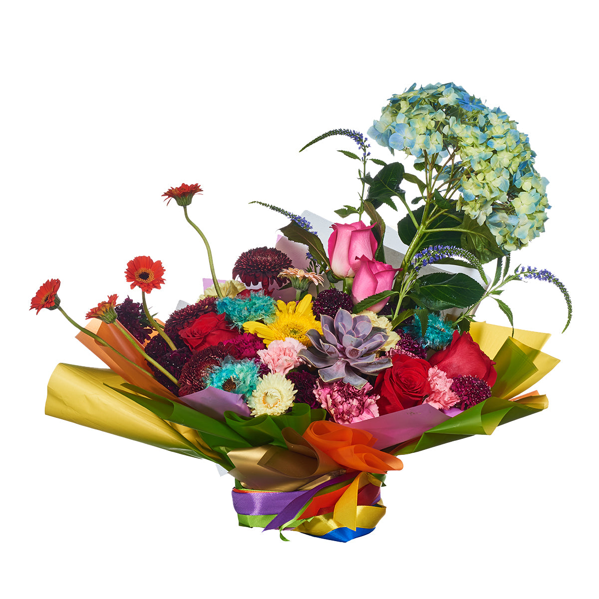 Suculenta Y Rosas