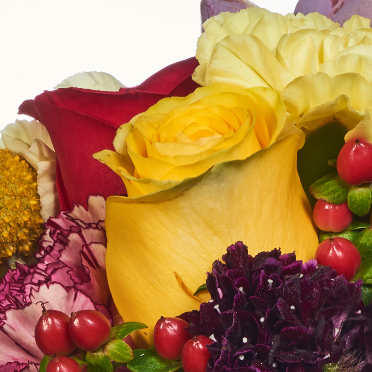 Flores Exóticas, Clavel Y Mini Gerbera.