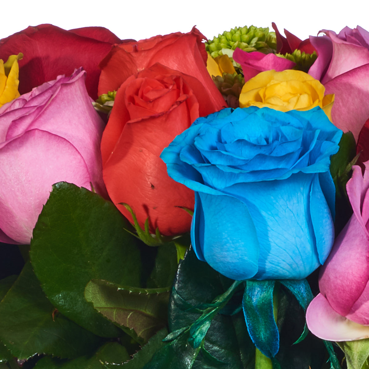 Rosas De Colores