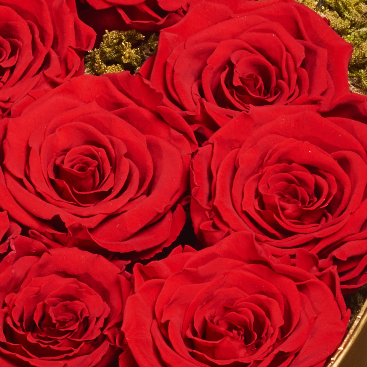 Corazón De Rosas Preservadas, Macarrones Y Champagne