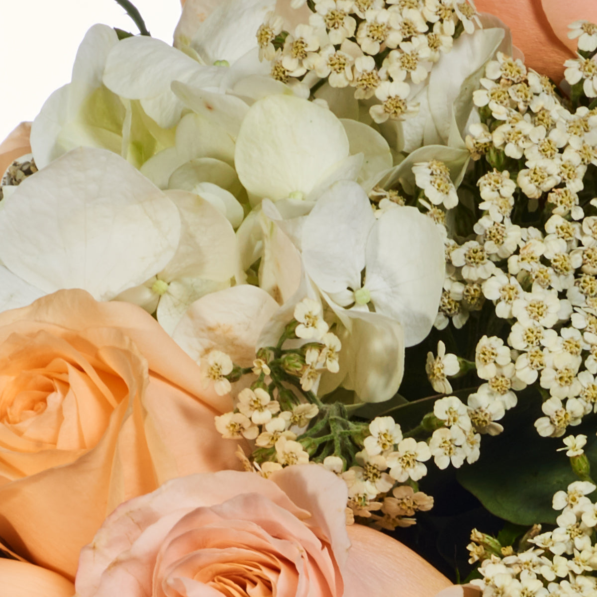 Rosas Y Hortensias Para Disfrutar El Momento