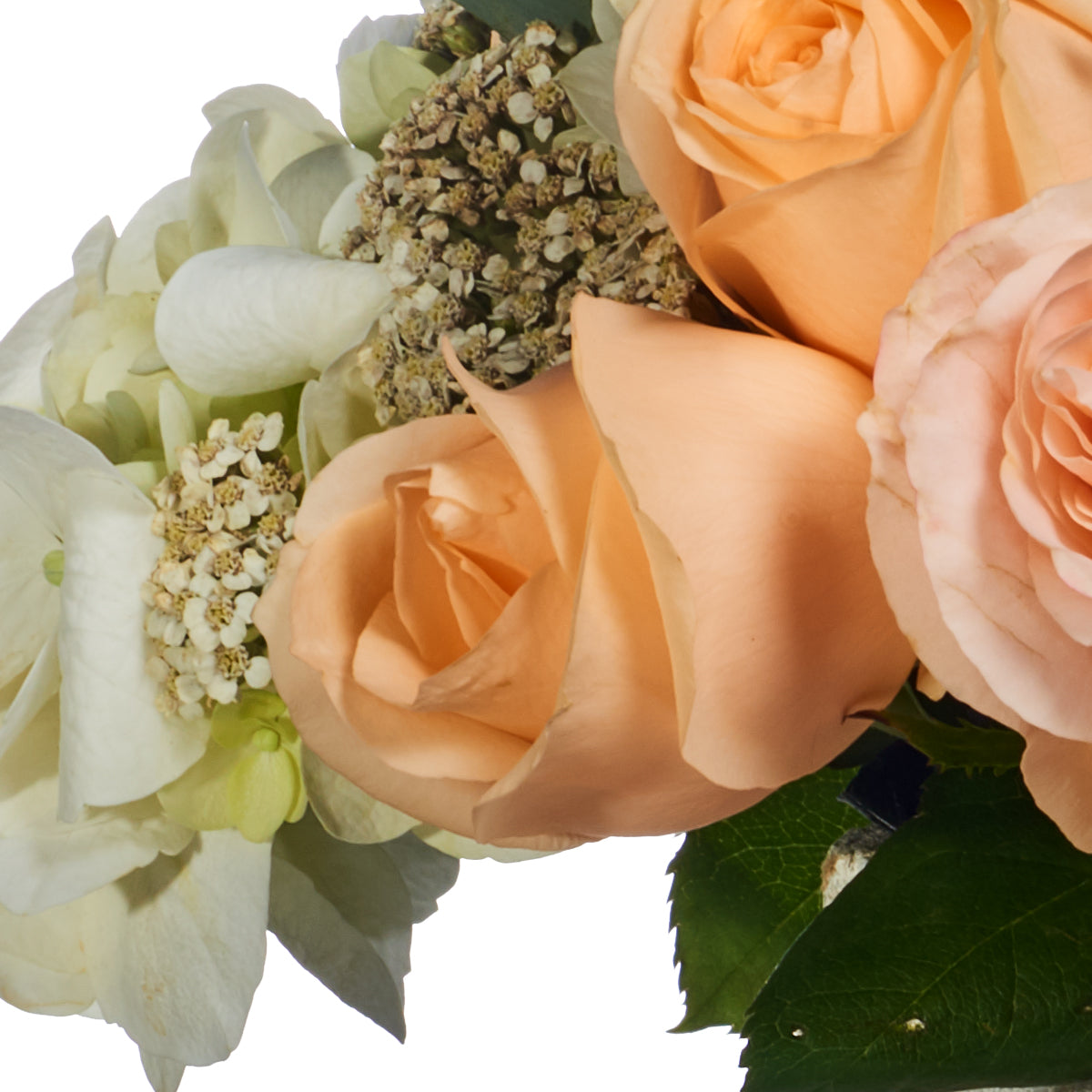 Rosas Y Hortensias Para Disfrutar El Momento