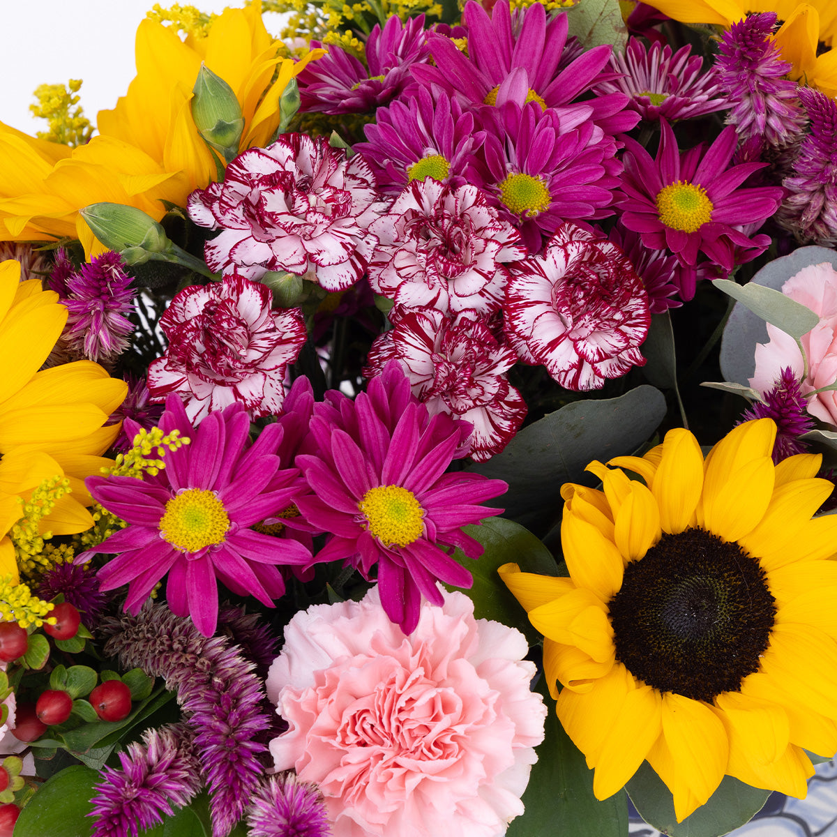 Folclor y Tradición