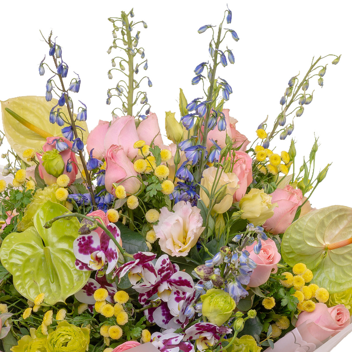 Flores exóticas, con variedad de coles y formas