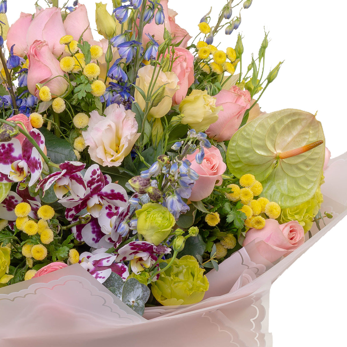 Flores exóticas, con variedad de coles y formas