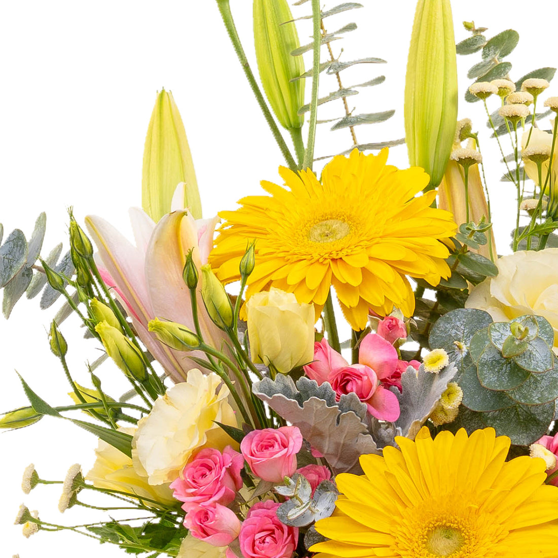 Gerbera con rosa baby