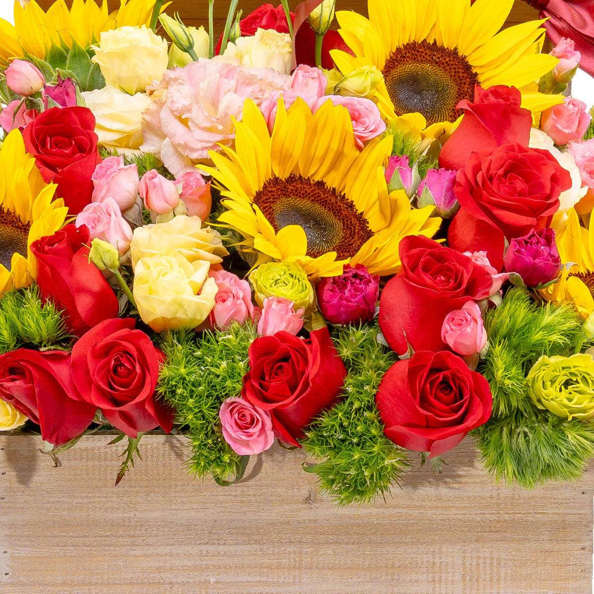 Girasol y rosas