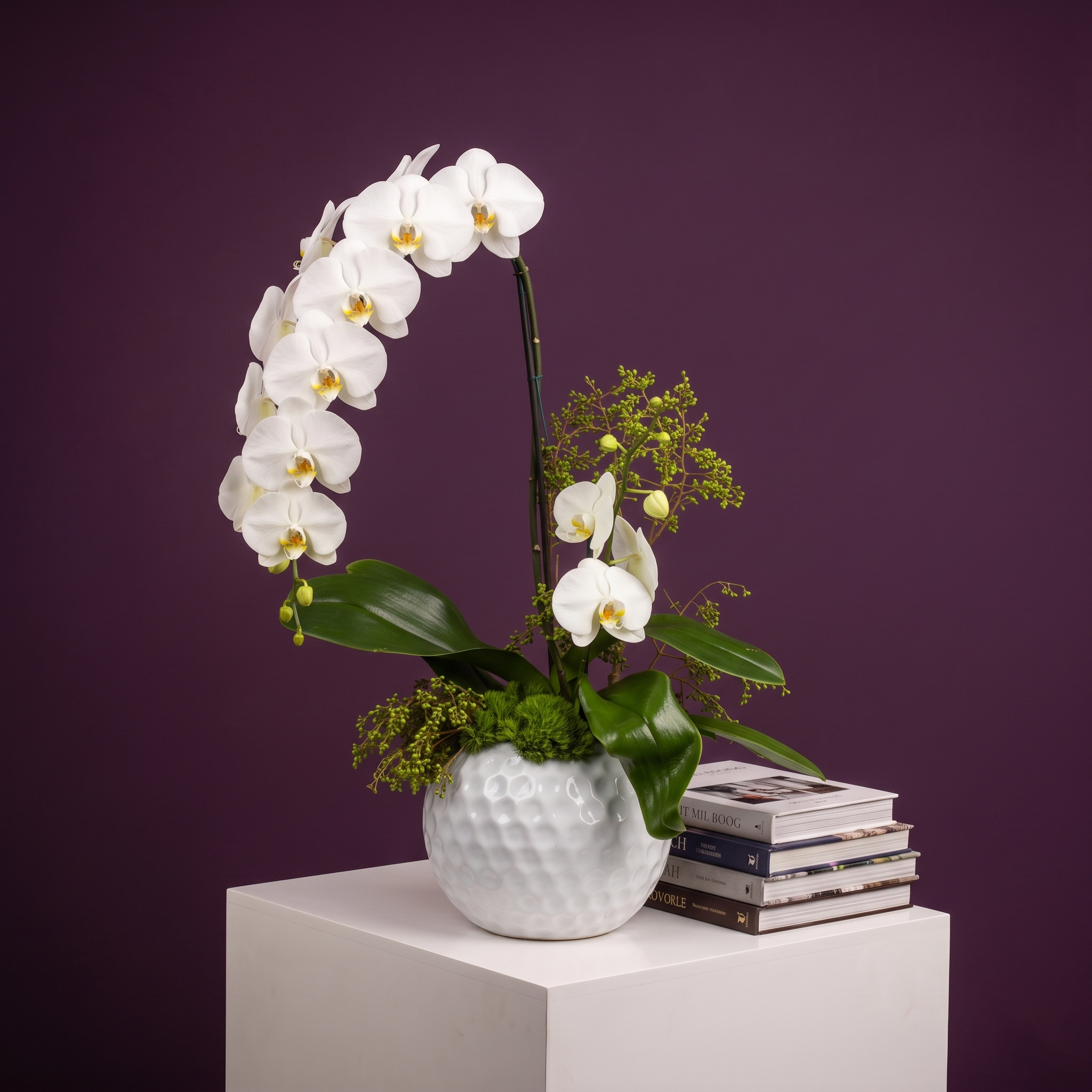 Orquidea Blanca, En Cascada