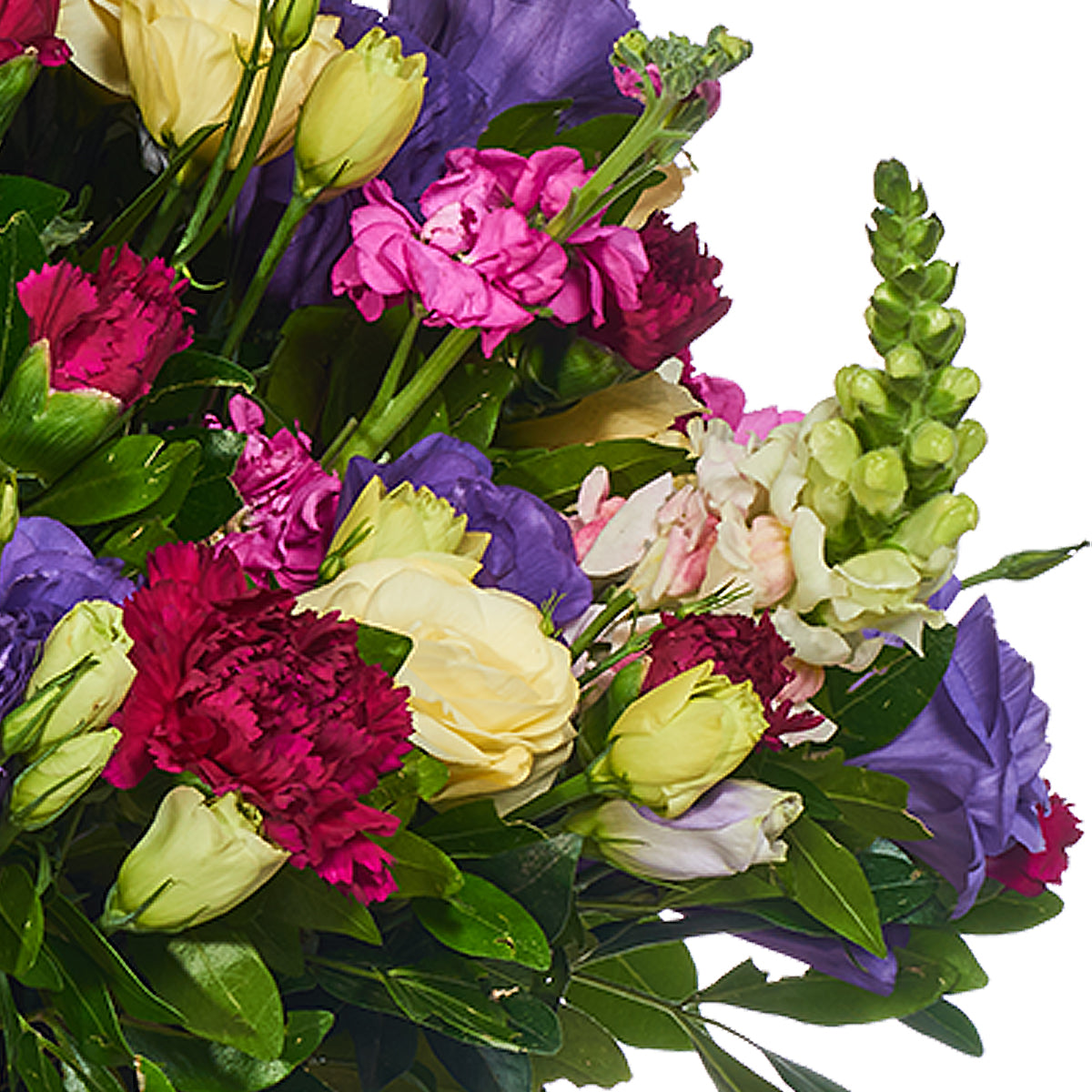 Lisianthus y Hortensias