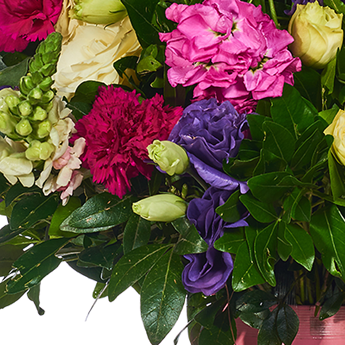 Lisianthus y Hortensias