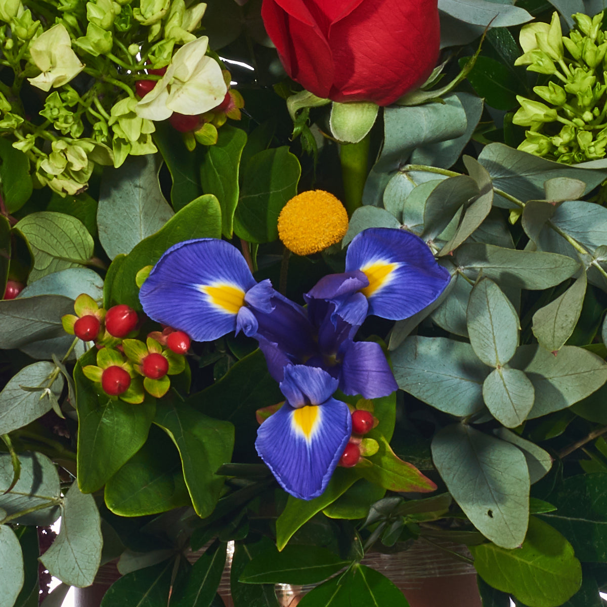 Delicado arreglo floral, rosas rojas e impericum