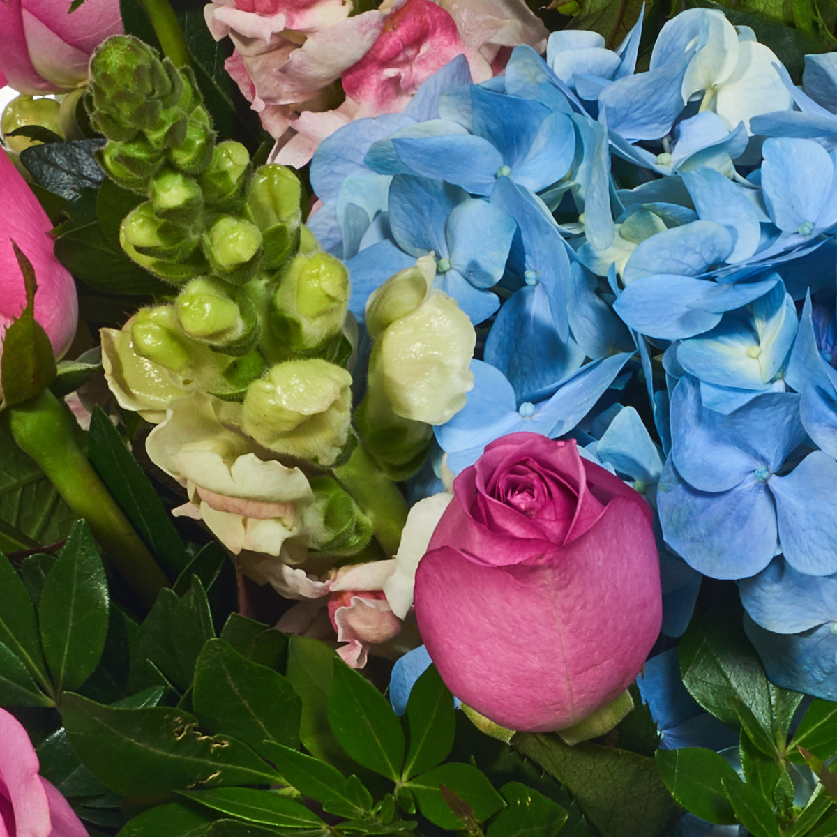 Cálido arreglo floral, hortensias y rosas