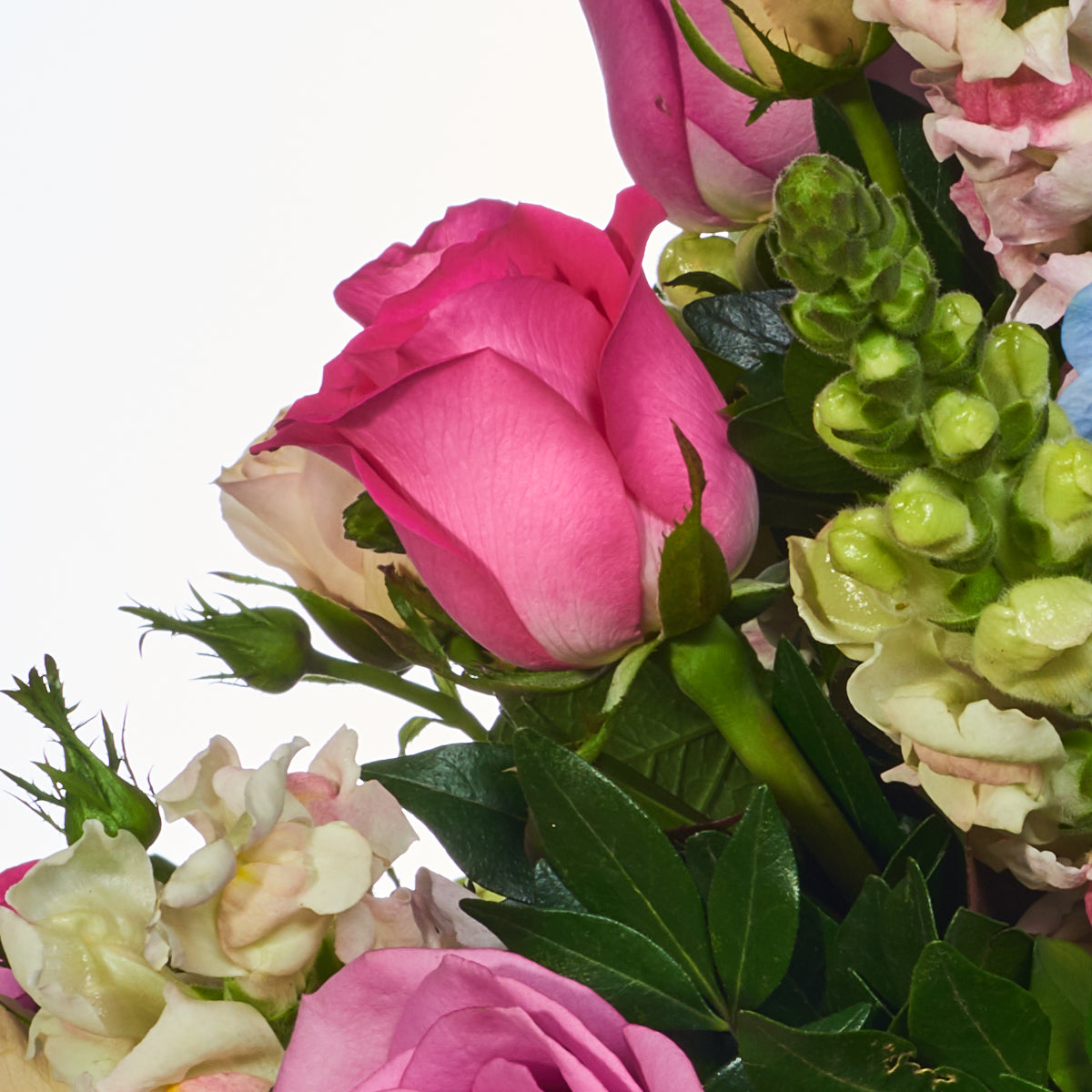 Cálido arreglo floral, hortensias y rosas