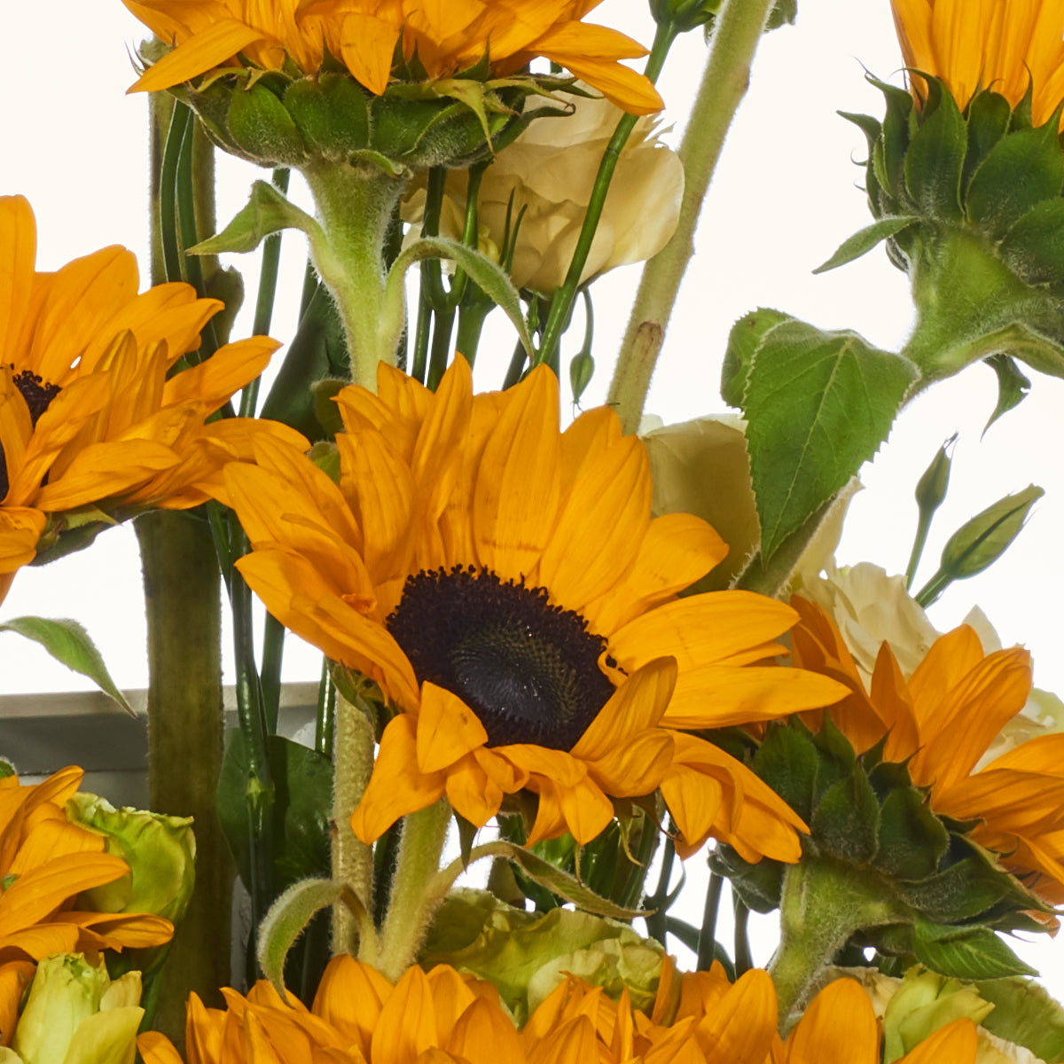 Baúl de madera con girasoles