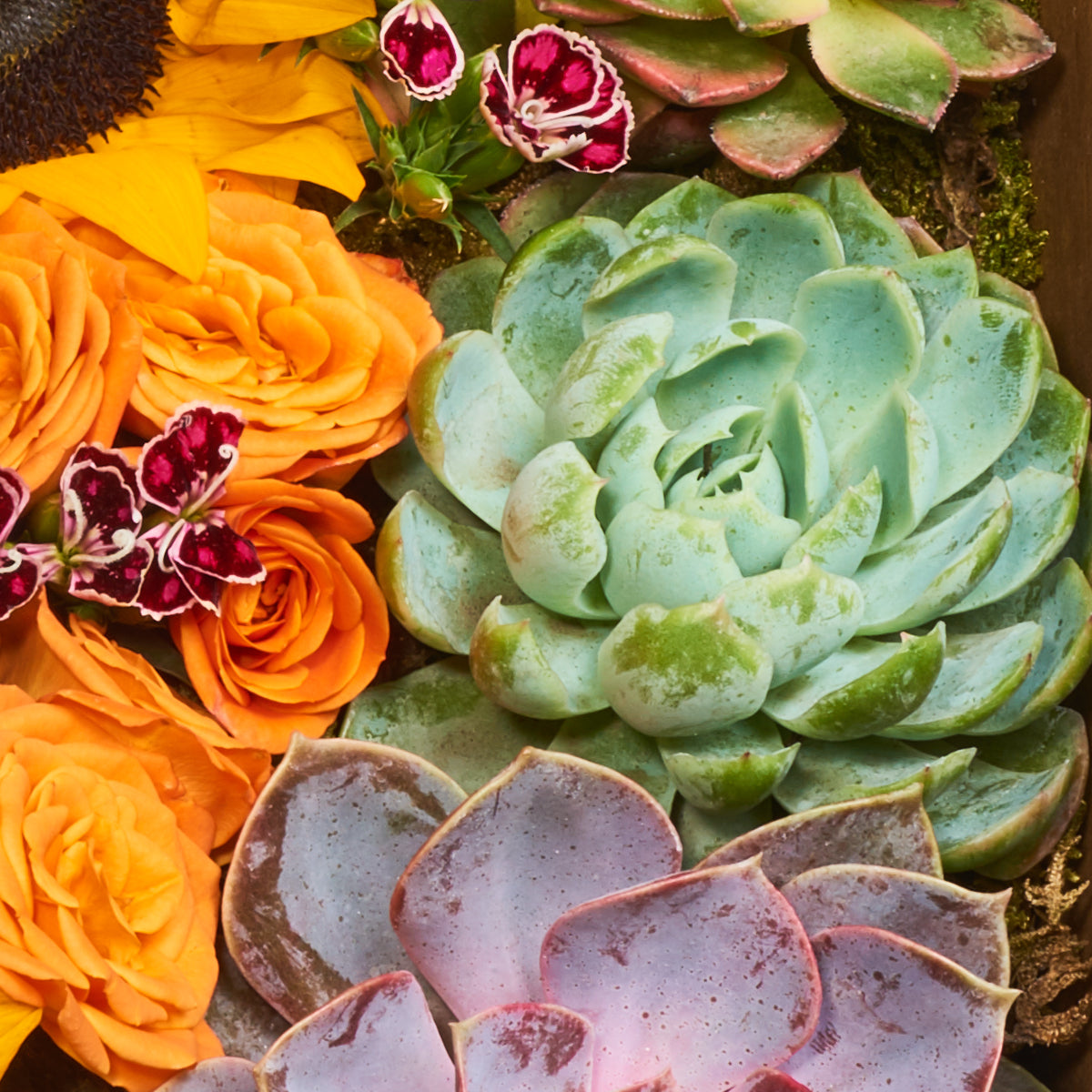 Caja de madera tazas y girasoles