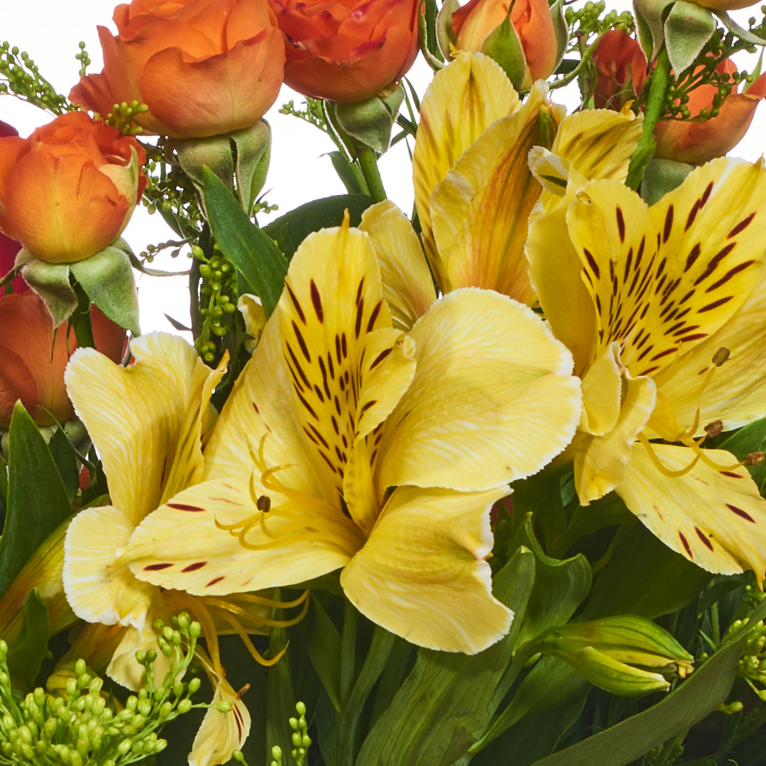 Astromelias Y Mini Rosas