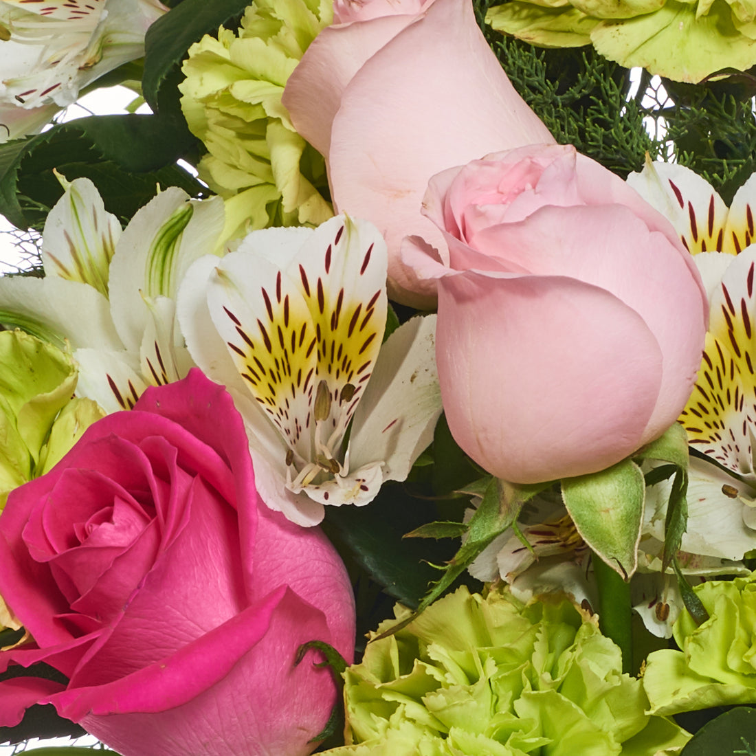 Delphinium, Astromelias Y Rosas