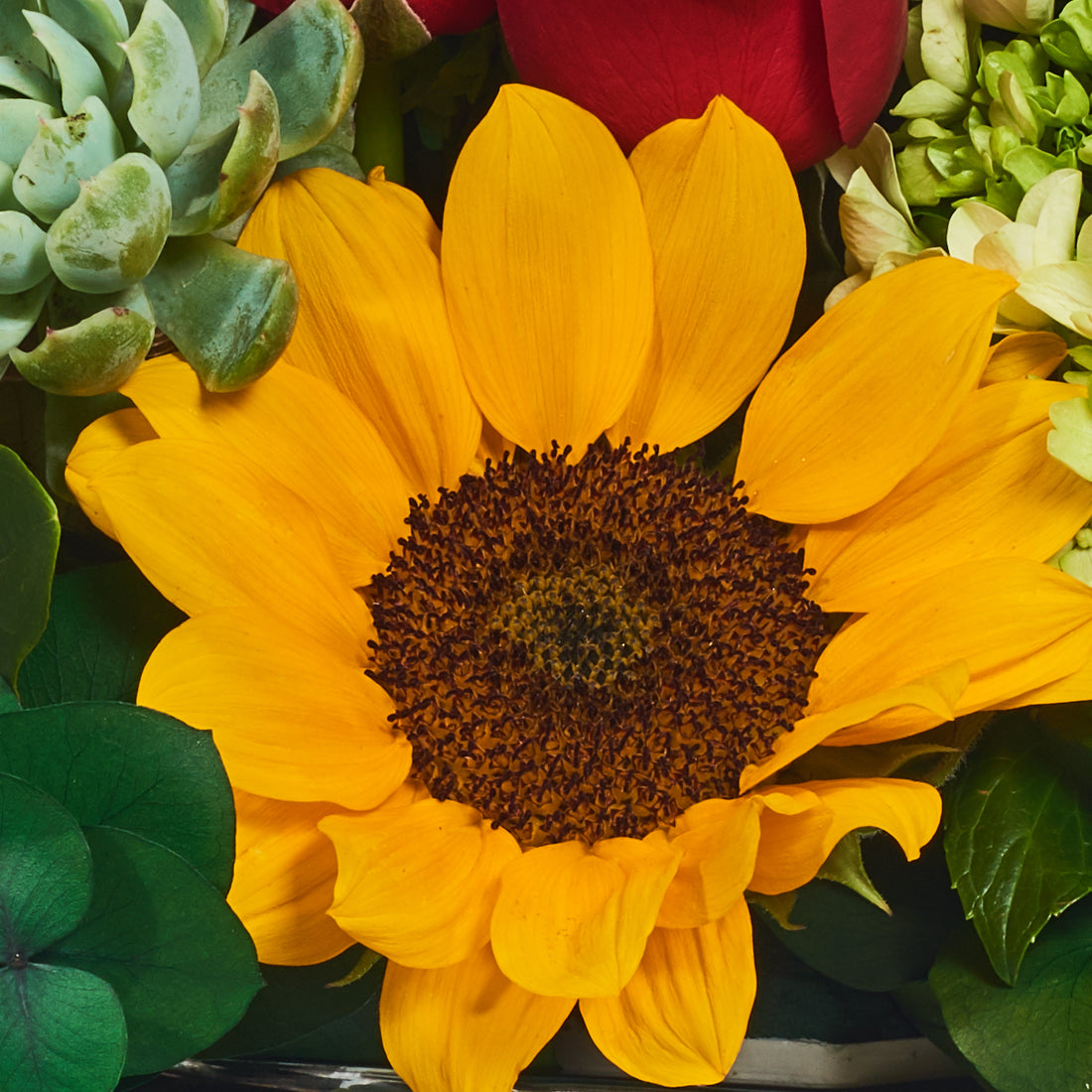 Esfera con rosas y girasoles