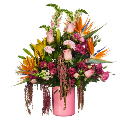 Euforia Floral