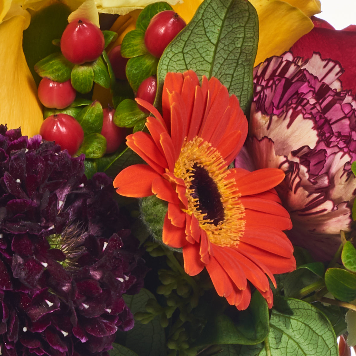 Flores exóticas, clavel y mini gerbera.