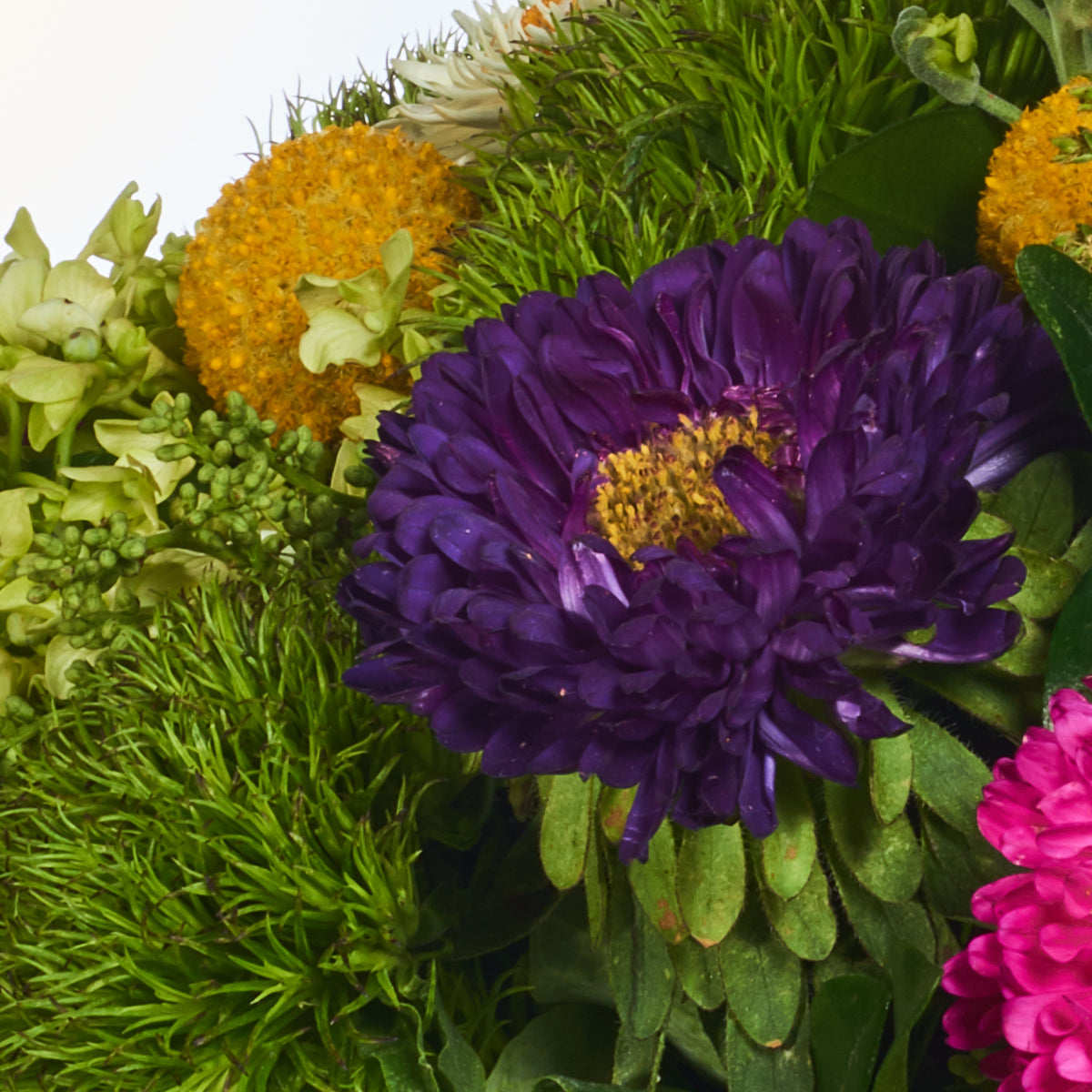 Perfecto para el jardín con flores únicas