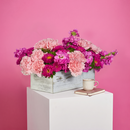 Cielo Rosado