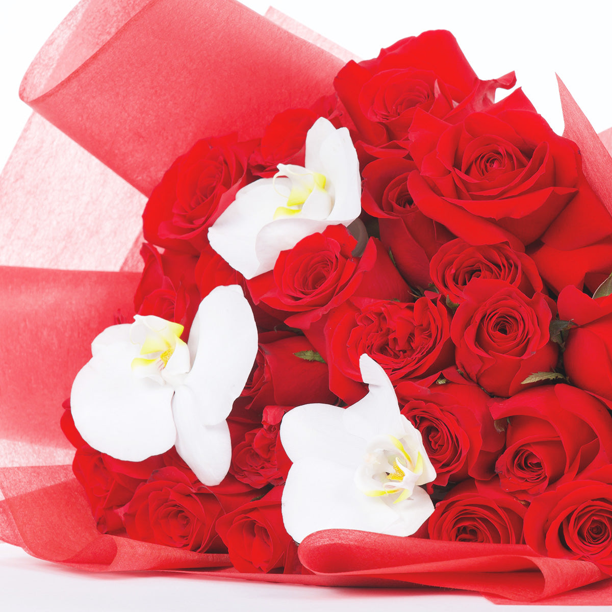 Susurro de amor