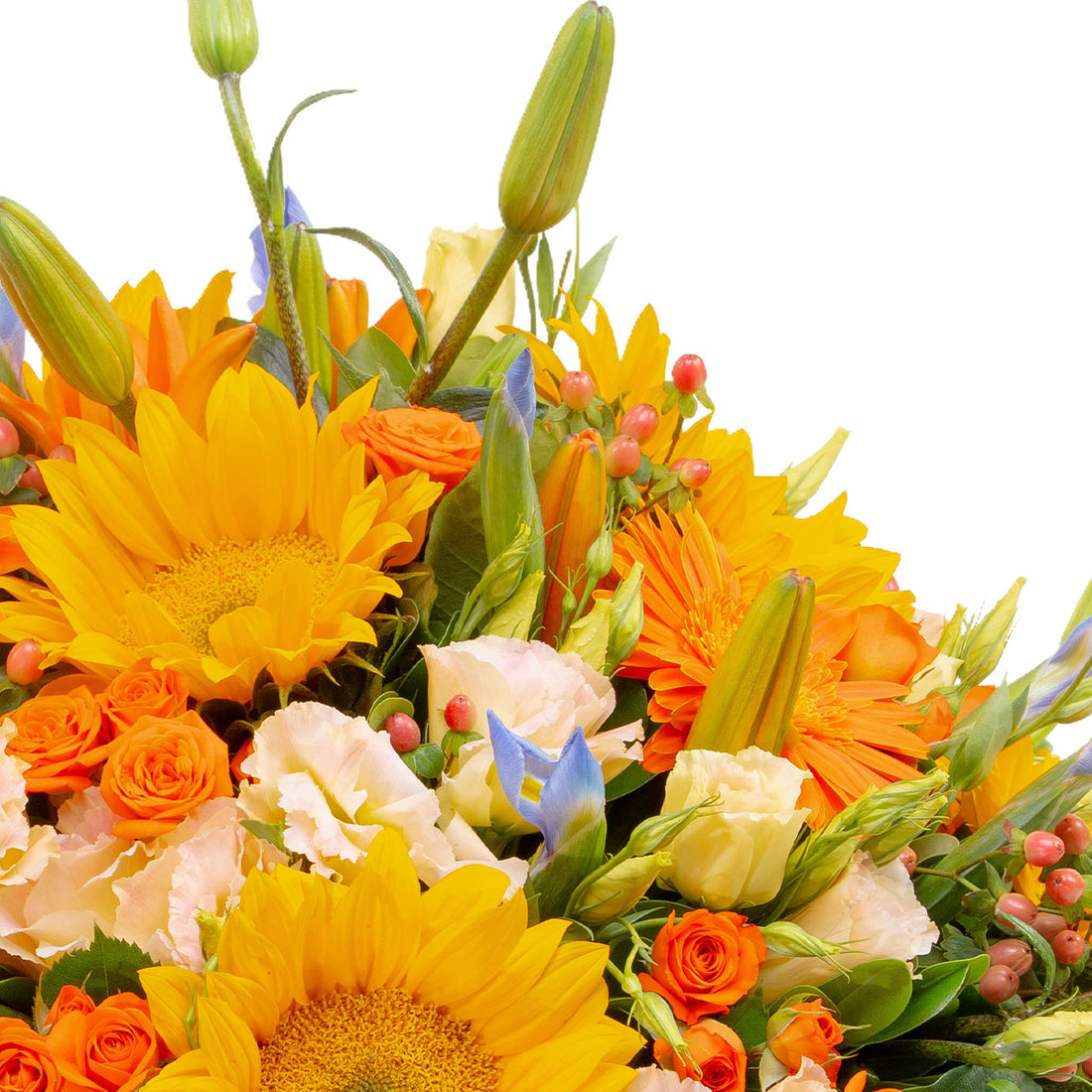 Flores brillantes