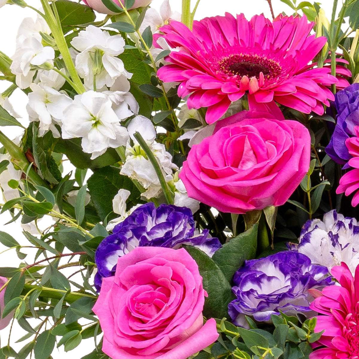Flores en colores cálidos