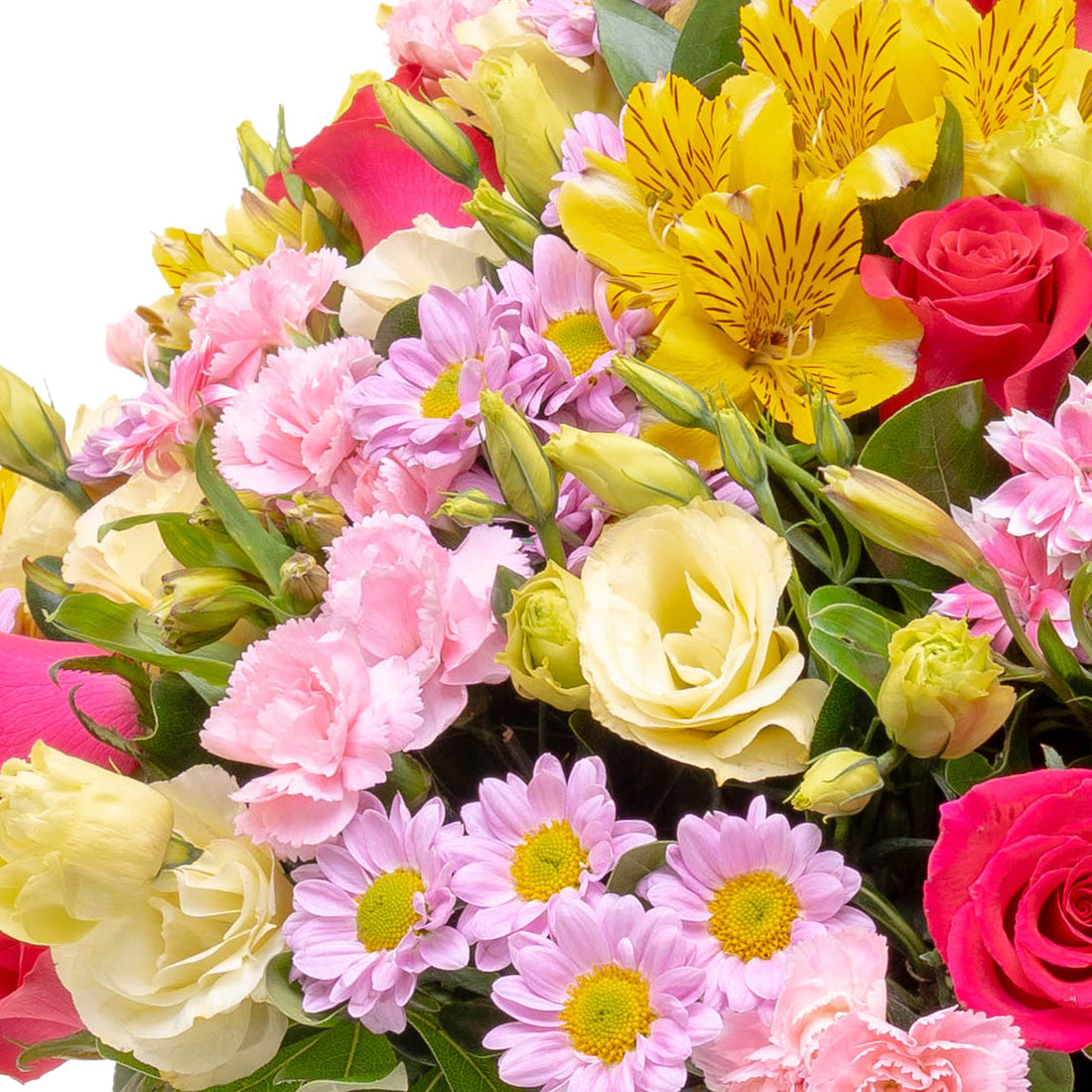 Flores violetas