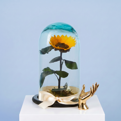 Girasol Eterno