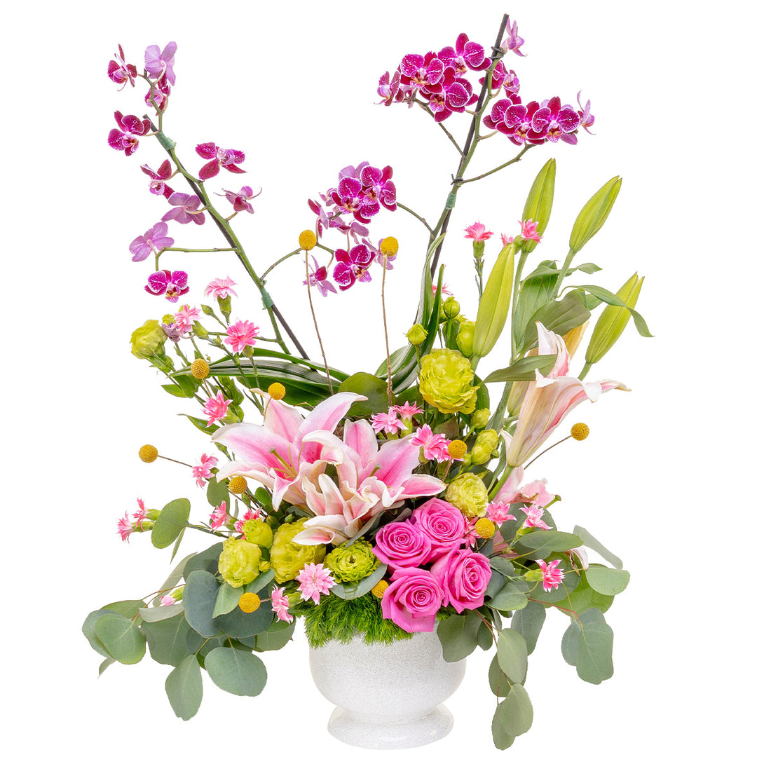 Multiflora y lirios