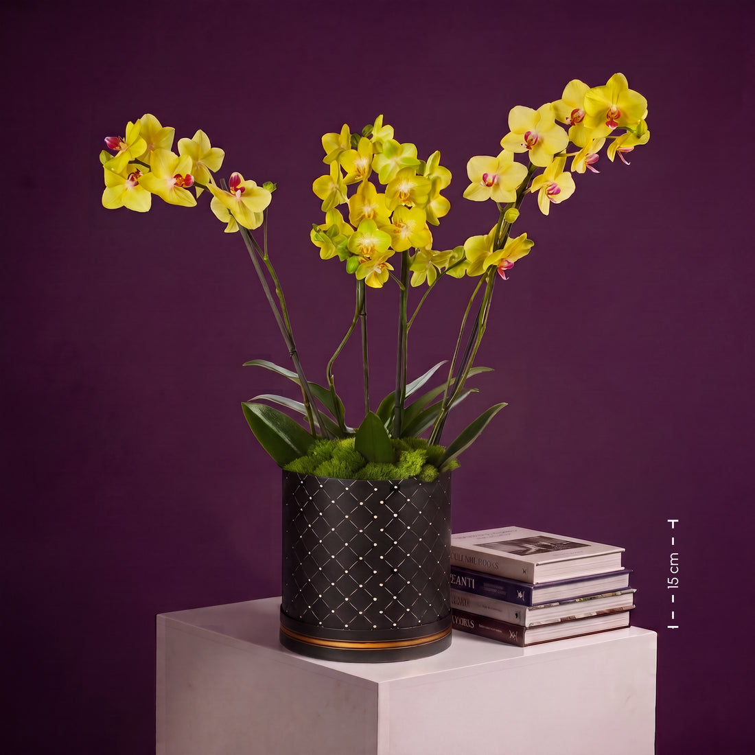Orquidea  Amarilla