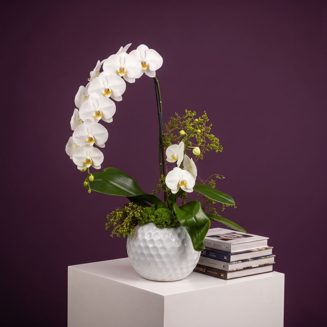 Orquidea  Blanca, En Cascada