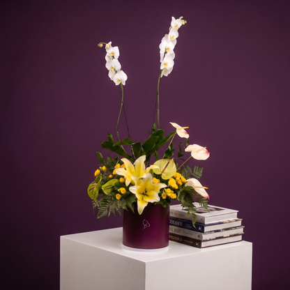 Orquidea en caja